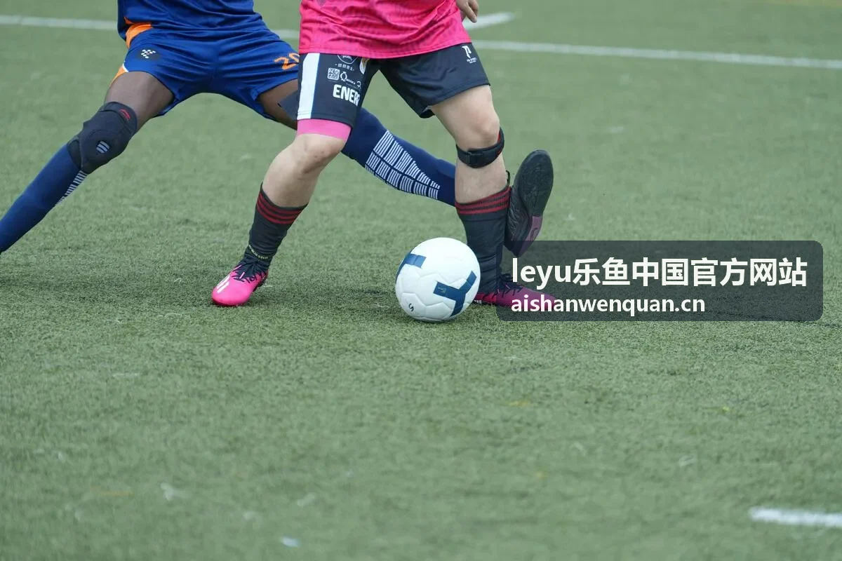 leyu乐鱼中国官方网站信息安全说明相关封面图